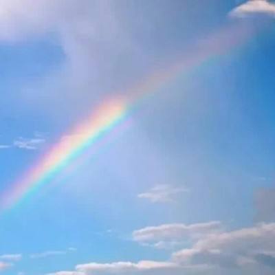 大港奥下载截图